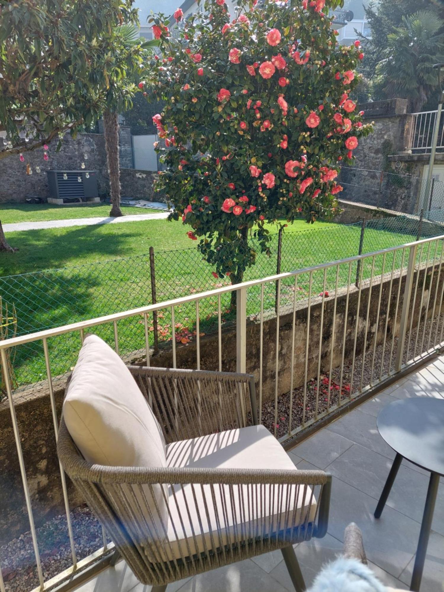 Dolceresio Lugano Lake B&B Brusino Arsizio Ngoại thất bức ảnh